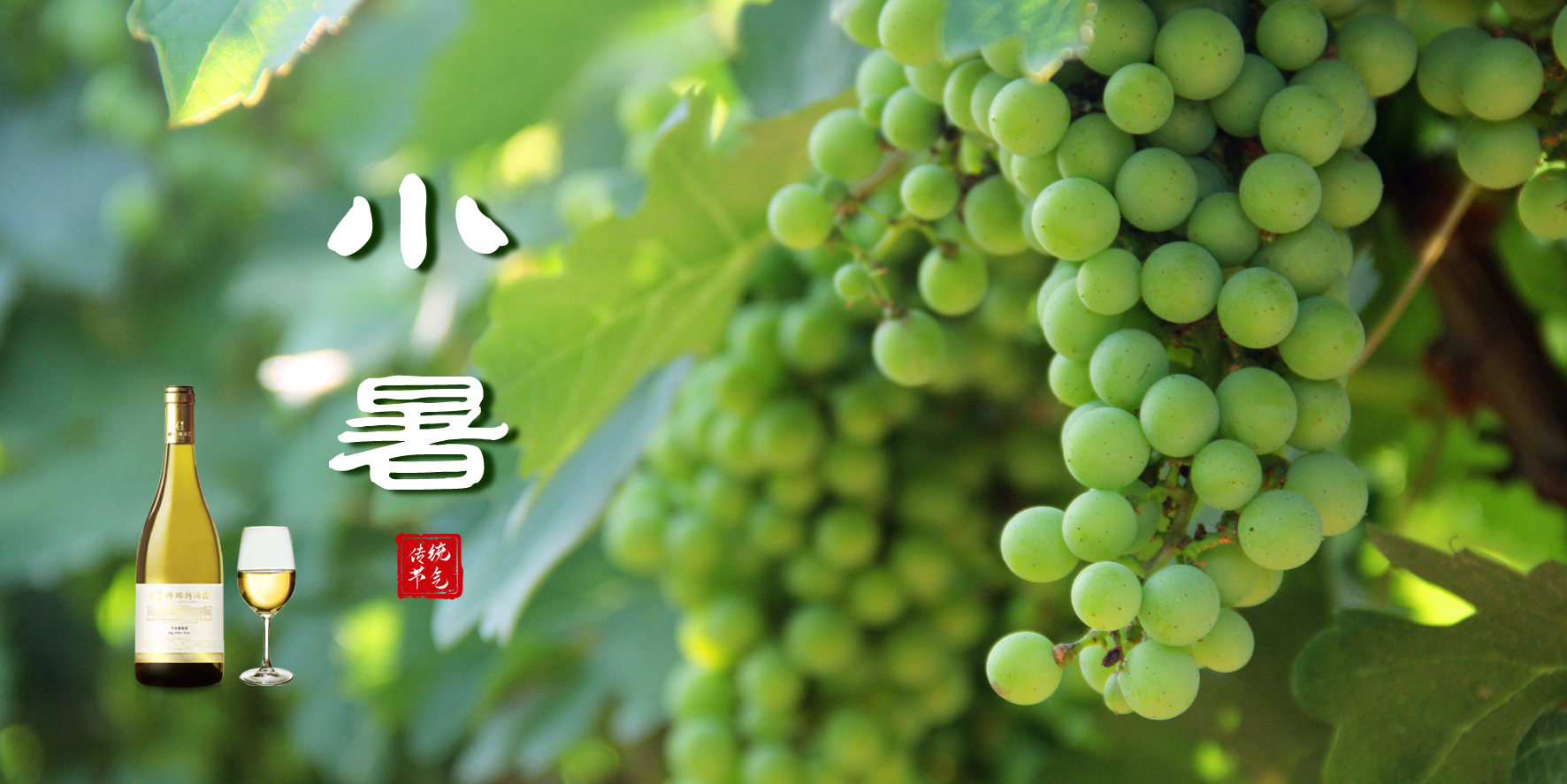 小暑，消暑，你選哪一個(gè)？