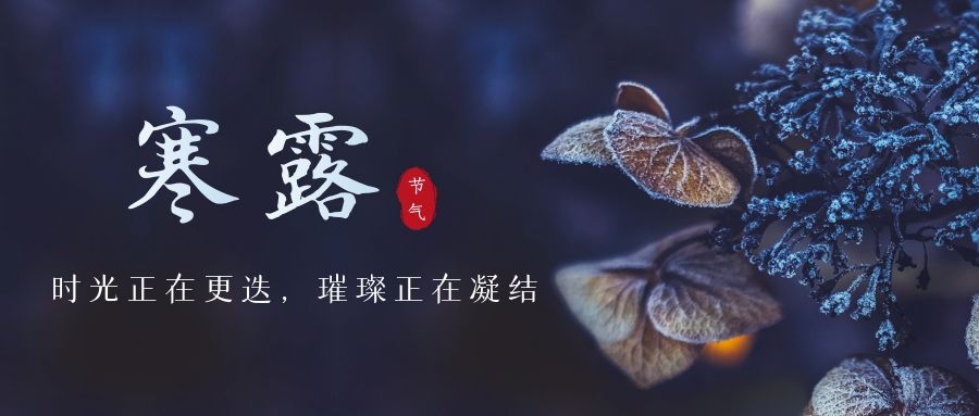 寒露 ▎時光更迭，璀璨正在凝結(jié)~