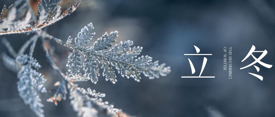 立冬 ▎朔風(fēng)始起，萬物境藏