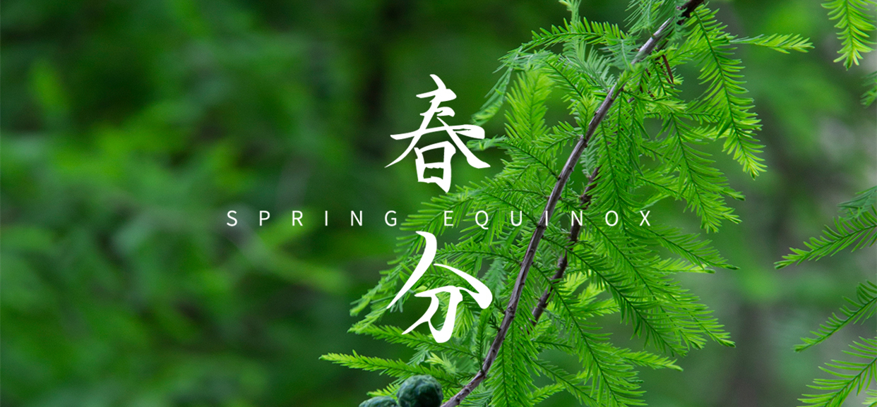 春分 ▎不負(fù)春光，萬(wàn)物生長(zhǎng)