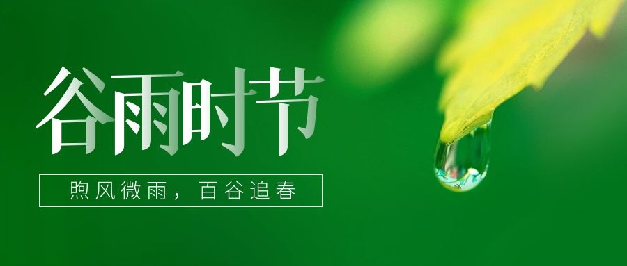 谷雨 ▎雨生百谷，鎖住一抹春色