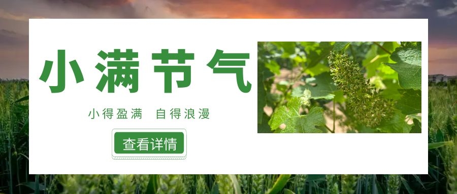 小滿 ▎小得盈滿，自得浪漫~