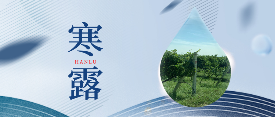寒露丨夜露凝寒，萬物皆秋