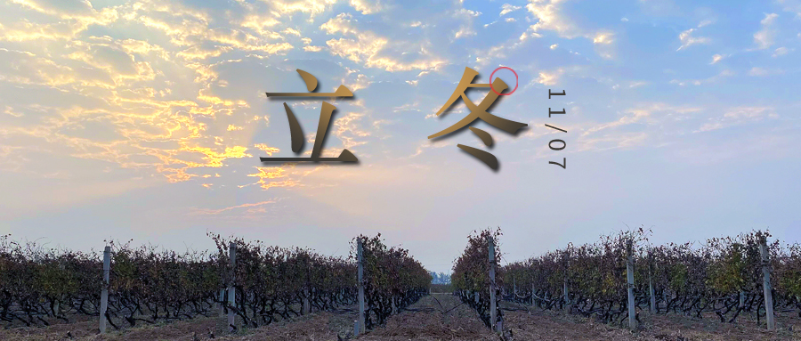 立冬 ▎四時有序，天地歸藏