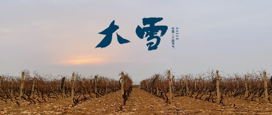 大雪 ▎世界留白，天地靜美